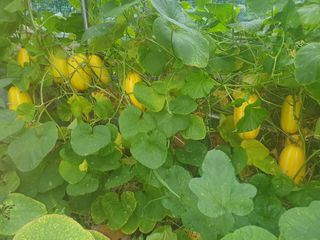 안비님의 자유주제 · 자유게시판 작성글 사진