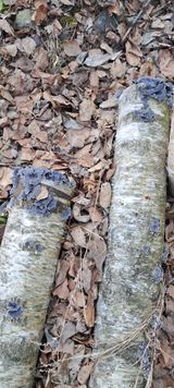 팜모닝 자유주제·자유게시판 게시글 이미지