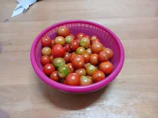 알 수 없음님의 자유주제 · 자유게시판 작성글 사진