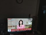팜모닝 자유주제·자유게시판 게시글 이미지