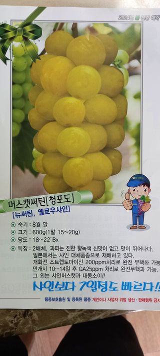 김근조님의 자유주제 · 자유게시판 작성글 사진