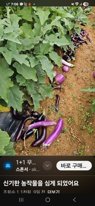 김황기님의 자유주제 · 자유게시판 작성글 사진