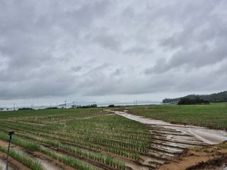 준영농장 출석왕.님의 자유주제 · 자유게시판 작성글 사진