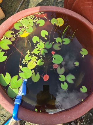 자연인님의 자유주제 · 자유게시판 작성글 사진