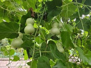 h.정님의 자유주제 · 자유게시판 작성글 사진