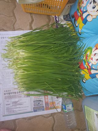 안비님의 자유주제 · 자유게시판 작성글 사진