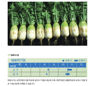 주주씨앗님의 작성글 사진