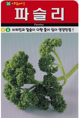 주주씨앗님의 장터 판매 상품 [향채소 씨앗 3종 세트 / 허브 루꼴라, 고수, 파슬리 / 허브 씨앗] 첨부 사진