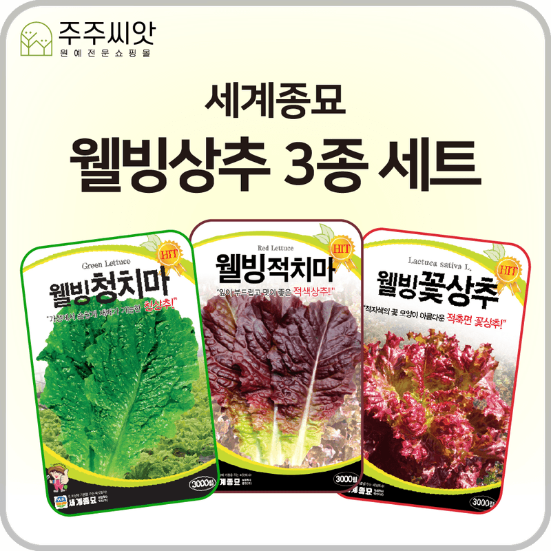 장터 상품 [웰빙상추 씨앗 3종 세트 / 세계종묘 청치마, 적치마, 꽃상추 / 상추 씨앗] 썸네일