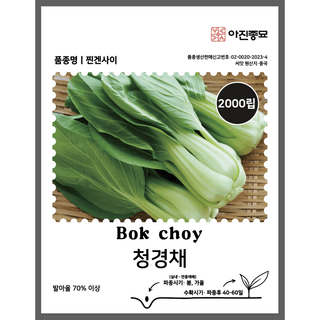 주주씨앗님의 작성글 사진