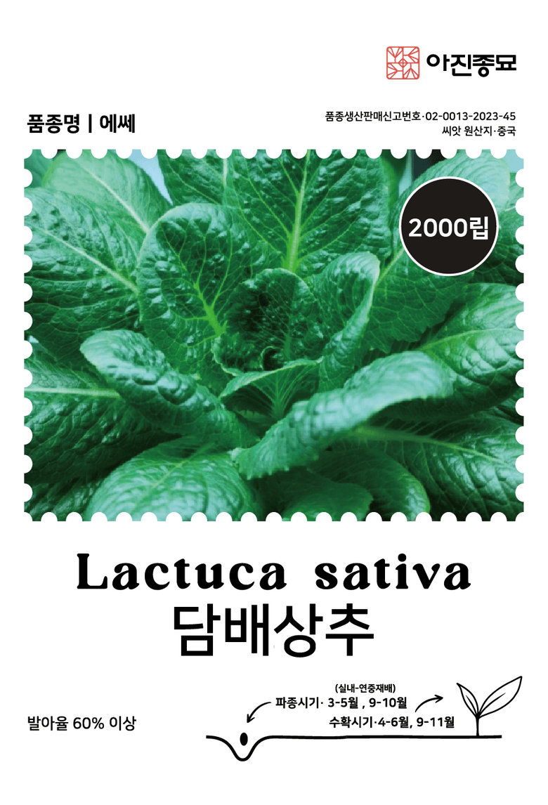 주주씨앗님의 장터 판매 상품 [사계절 상추 씨앗 4종 세트 / 봄, 가을 파종 / 아삭이, 적로메인, 적치마, 담배상추] 첨부 사진