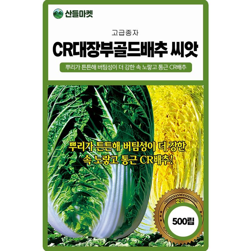 장터 상품 [CR대장부골드 배추씨앗 500립 종자 5봉 구매시+랜덤씨앗 1개 증정] 썸네일