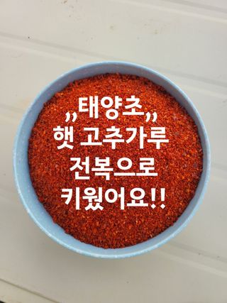 고추농사 정 미라님의 작성글 사진