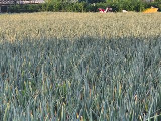 준영농장 출석왕.님의 자유주제 · 자유게시판 작성글 사진