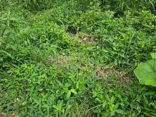 김강호님의 자유주제 · 자유게시판 작성글 사진