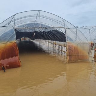 열무.대파.시금치님의 자유주제 · 자유게시판 작성글 사진