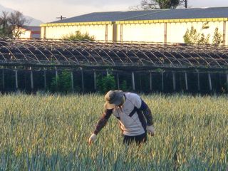 준영농장 출석왕.님의 자유주제 · 자유게시판 작성글 사진