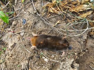 임재현님의 자유주제 · 자유게시판 작성글 사진