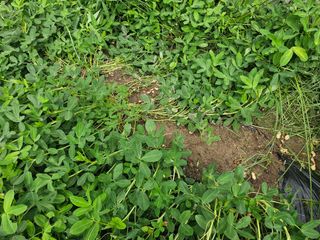 김강호님의 자유주제 · 자유게시판 작성글 사진