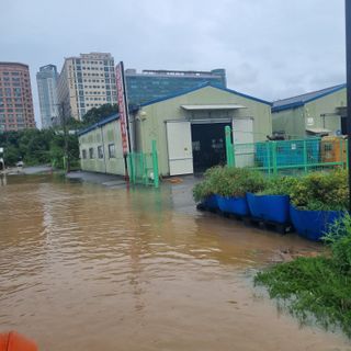 열무.대파.시금치님의 자유주제 · 자유게시판 작성글 사진