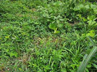 김강호님의 자유주제 · 자유게시판 작성글 사진