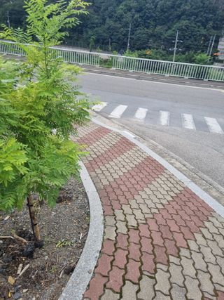 김용대님의 자유주제 · 자유게시판 작성글 사진