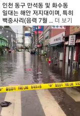 팜모닝 자유주제·자유게시판 게시글 이미지