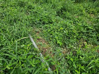 김강호님의 자유주제 · 자유게시판 작성글 사진