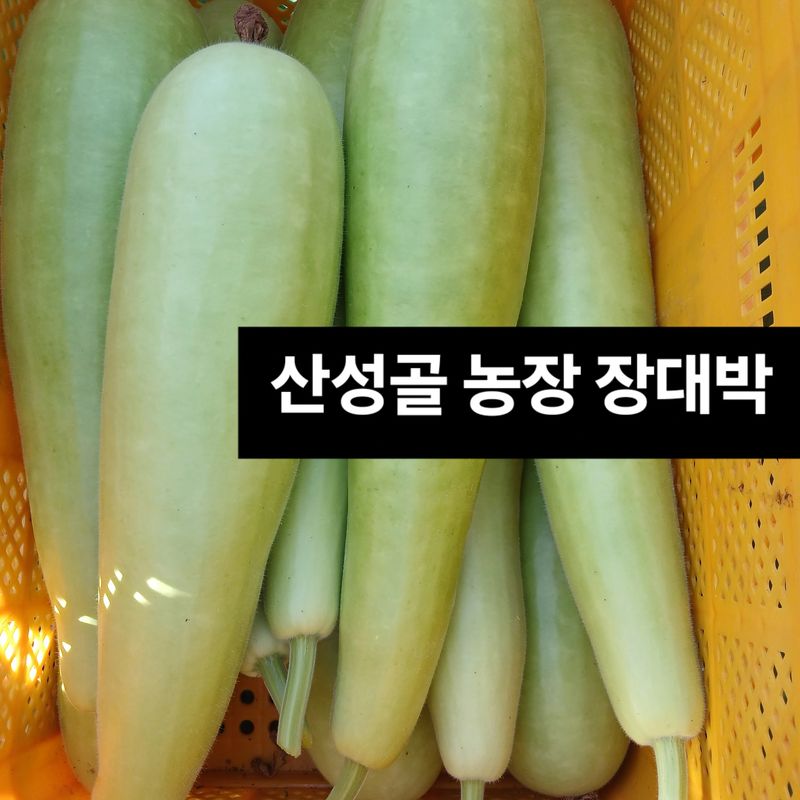 장터 상품 [장대박] 썸네일