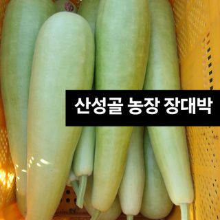 산성골농장님의 작성글 사진