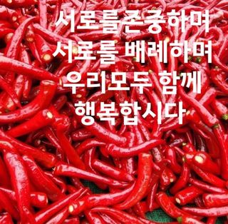 고추농사 정 미라님의 작성글 사진