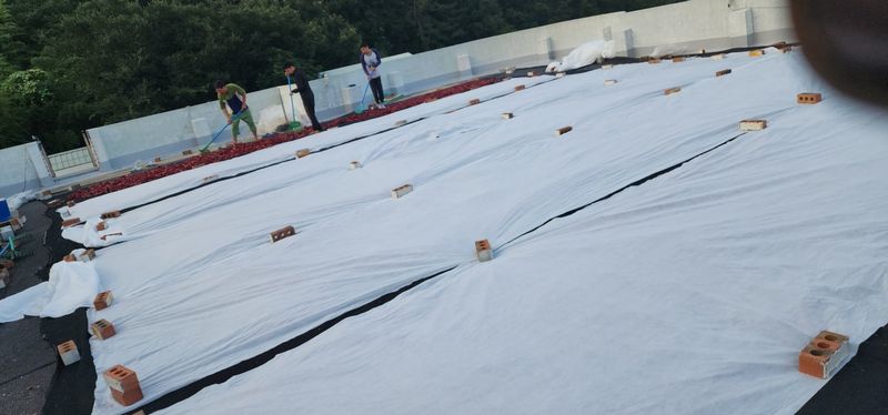 고추농사 정 미라님의 장터 판매 상품 [태양초 고추가루 600그램] 첨부 사진