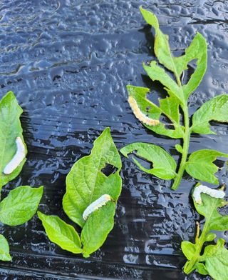 김진님의 자유주제 · 자유게시판 작성글 사진