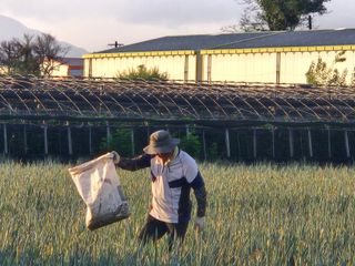 준영농장 출석왕.님의 자유주제 · 자유게시판 작성글 사진