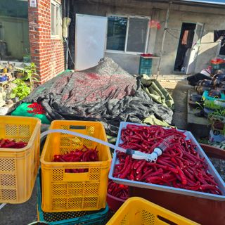 박흠님의 자유주제 · 자유게시판 작성글 사진