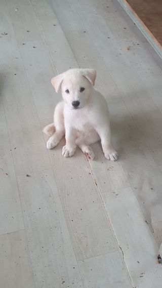 김인선님의 자유주제 · 자유게시판 작성글 사진