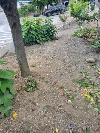 김용대님의 자유주제 · 자유게시판 작성글 사진