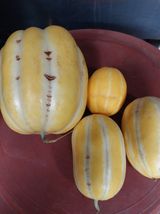 팜모닝 자유주제·자유게시판 게시글 이미지