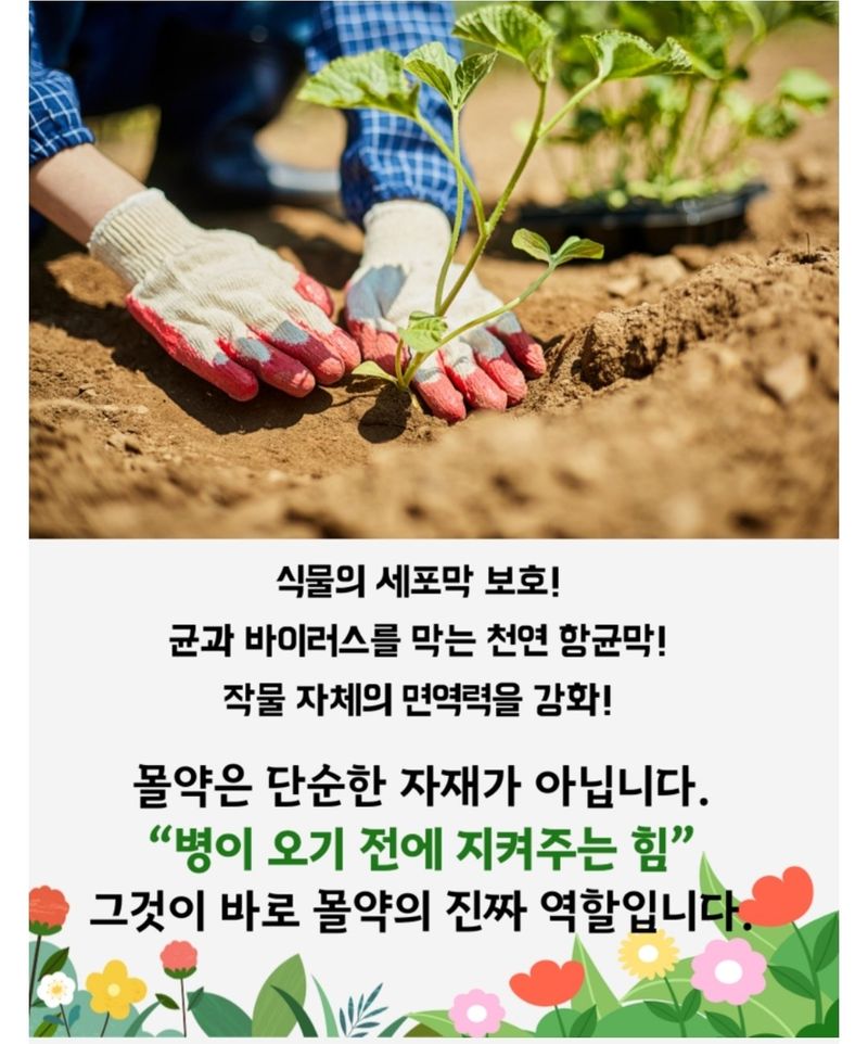 대산농사대장님의 장터 판매 상품 [미르몰 10L  유기농자재] 첨부 사진