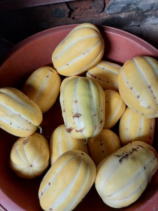 서산 밀집모자님의 자유주제 · 자유게시판 작성글 사진