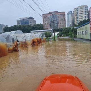 열무.대파.시금치님의 자유주제 · 자유게시판 작성글 사진