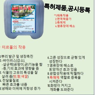 김둘점님의 작성글 사진