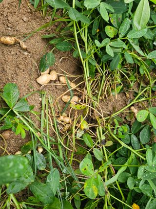 김용석님의 자유주제 · 자유게시판 작성글 사진