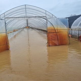 열무.대파.시금치님의 자유주제 · 자유게시판 작성글 사진