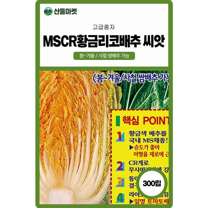 장터 상품 [MS CR황금리코 배추씨앗 300립 종자 5봉 구매시+랜덤씨앗 1개 증정] 썸네일