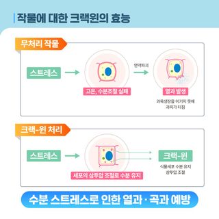 누보농장님의 자유주제 · 자유게시판 작성글 사진