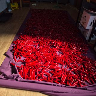 박흠님의 자유주제 · 자유게시판 작성글 사진