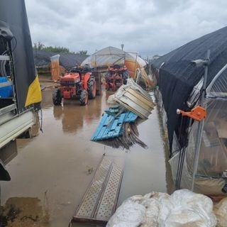 열무.대파.시금치님의 자유주제 · 자유게시판 작성글 사진