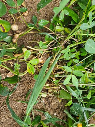 김용석님의 자유주제 · 자유게시판 작성글 사진