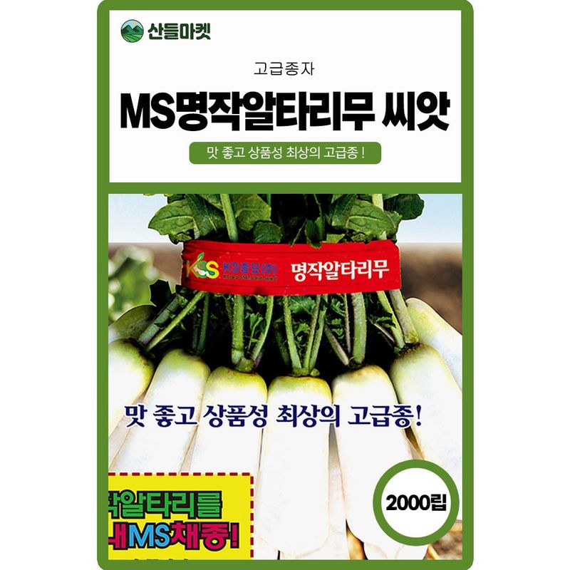 장터 상품 [MS명작알타리 무씨앗 2000립 종자 5봉 구매시+랜덤씨앗 1개 증정] 썸네일